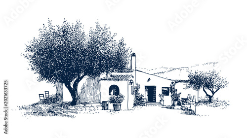 Olive trees landscape sketch, mediterranean countryside house illustration