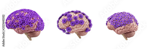 Canvas Print Human Brain Model with Blooming Purple Flowers Isolated on White Background, Sym