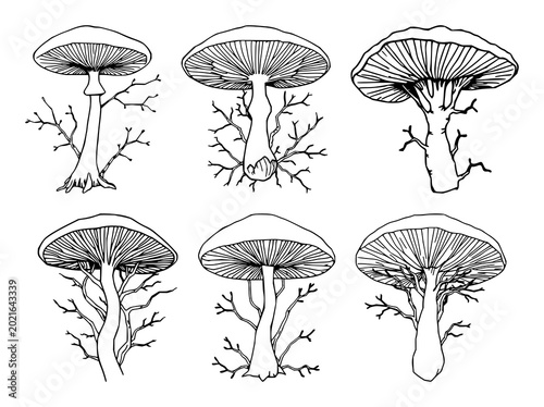 Tableau sur toile Mushroom mycelium network set with delicate thin lines featuring organic, sustai