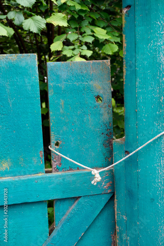 Fotografija Blue wooden garden gate held closed door with a white piece of string