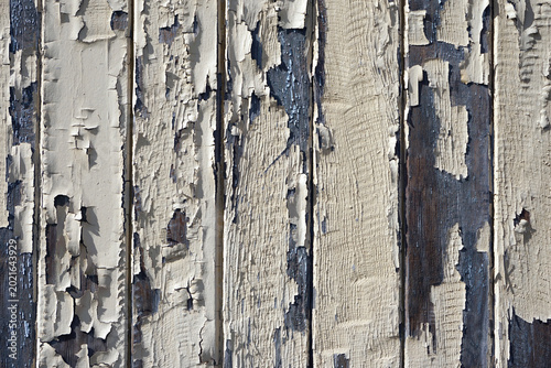 Fotografía Closeup of peeling paint on a weathered wooden garage wall