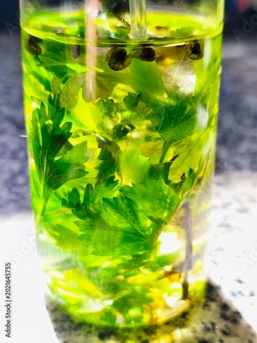 close view of fresh parsley leaves and peppercorns infusing in olive oil inside a glass bottle