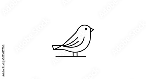 Minimalist outline of a small bird standing on a line, isolated on white background.