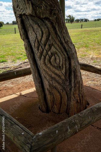Carved tree trunks marking the burial place  of Yuranigh, a Wiradjuri man who accompanied Thomas Mitchell on his exploration of Australia