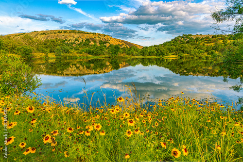 Slika na platnu Vivid yellow wildflowers frame a mirror-like lake reflecting clouds and the gold