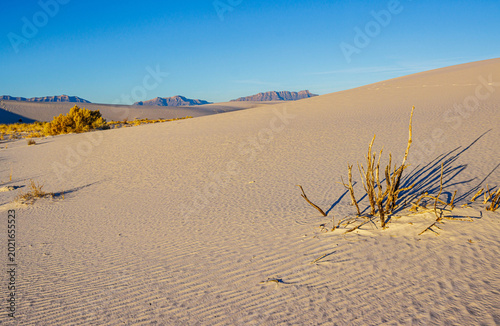 Morning Light on The White Sand Dunes With The San Andres Mountains, White Sands National Park, New Mexico, USA