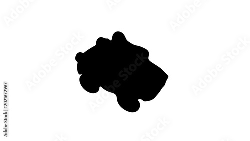 Cars Races