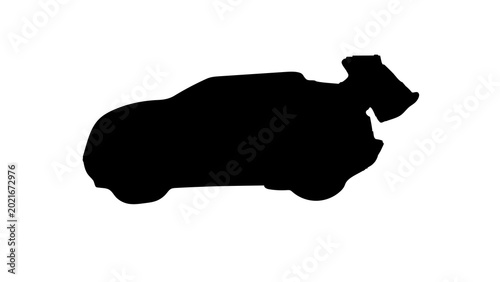 Cars Races