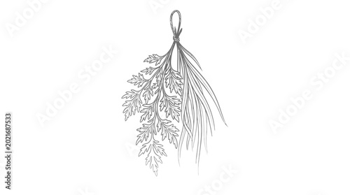 Bild auf Leinwand Bunch of fresh rosemary herbs tied.