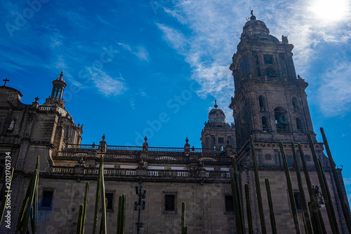 Metropolitan Cathedral of Mexico City with cactus silhouettes and blue sky