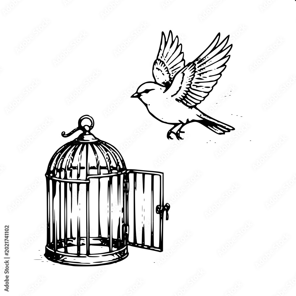 Fototapeta premium Bird Flying Out of Open Cage Freedom