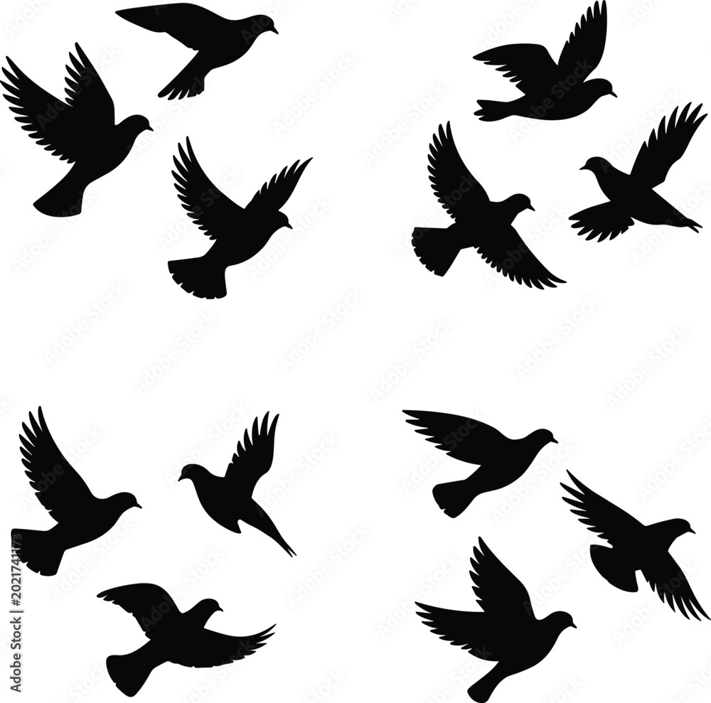 Fototapeta premium Flying Bird Silhouette Collection with Black Dove and Pigeon Shapes Isolated Vector Design Elements