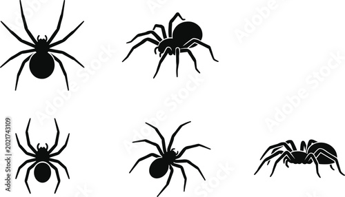 Bild auf Leinwand Black spider silhouette collection showing various poses and perspectives for ar