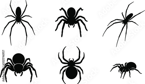 Quadro su tela Six spider silhouettes in two rows showing diverse arachnid body shapes, leg sty