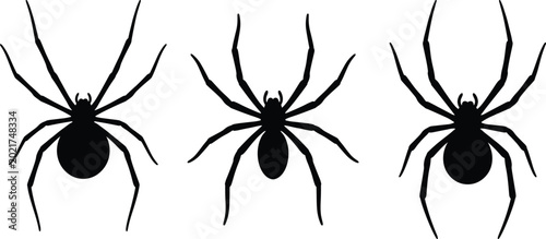 Tableau sur toile Three spider silhouettes in row showing anatomical structure with eight legs and
