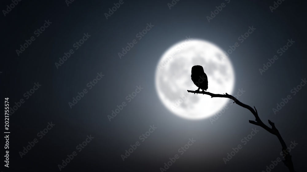 Obraz premium owl silhouette against moonlight sky, nocturnal wildlife theme, negative space composition, cinematic atmosphere, symbolic conservation imagery, fine art nature photography