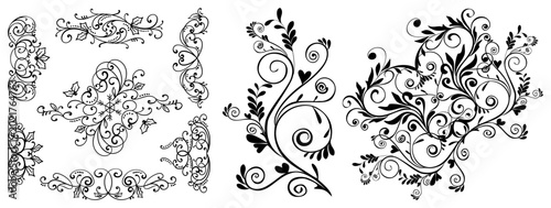 Elegant Floral Ornament and Decorative Swirl Flourish Collection