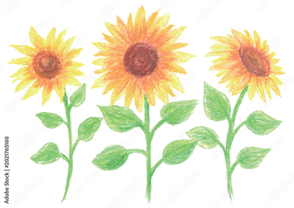 Fototapeta premium Hand Drawn Pastel Style Sunflower Vector Set