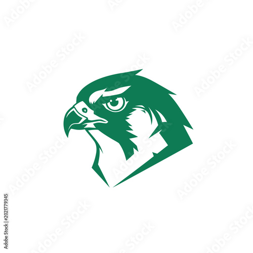 Green hawk logo design with sharp features and detail