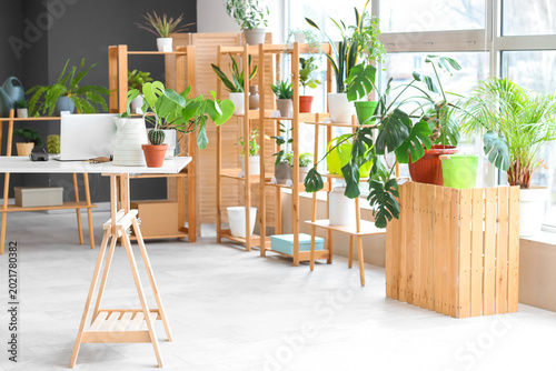 Interior of flower shop wit...