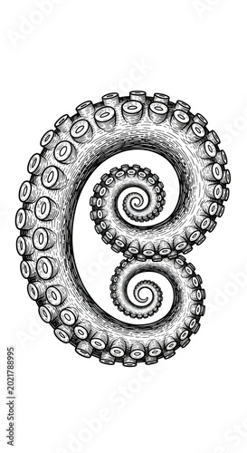 Detailed Octopus Tentacle Swirl Isolated Transparent Black and White Illustration
