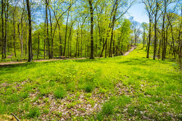 Great Bear Mound Effigy Mounds Iowa