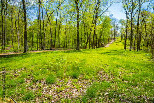 Tableau sur toile Great Bear Mound Effigy Mounds Iowa