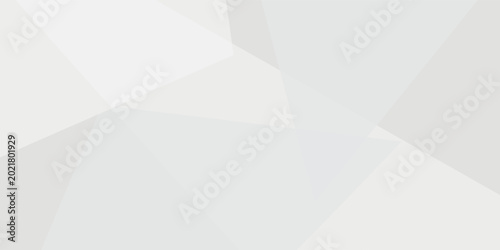 A minimalist abstract background featuring overlapping geometric shapes in shades of white and light gray. modern.Clean lines and subtle gradients