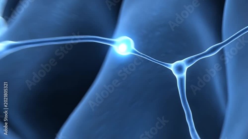 Human brain anatomy with glowing neurons and neural connections