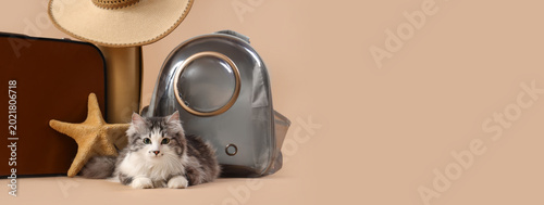 Cute cat with backpack carr...