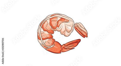 Single cooked and peeled shrimp curled in a classic shape with visible tail and meaty textures against a plain white background.