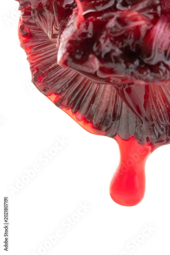 Chinese Specialty Fruit Bayberry with Dripping Juice