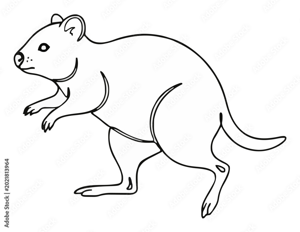 Fototapeta premium Quokka running animal line art side view icon. Generative AI