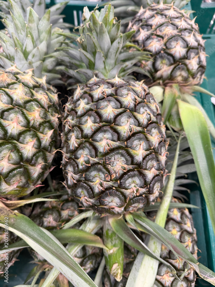Fototapeta premium pineapple on market counter