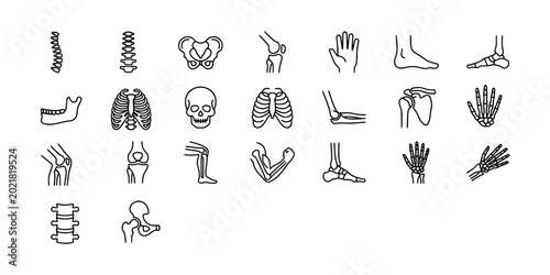 Photos Icon set collection of detailed human anatomy, skeletal structures, bones, joints, and orthopedic elements for medical, educational, and healthcare illustrations