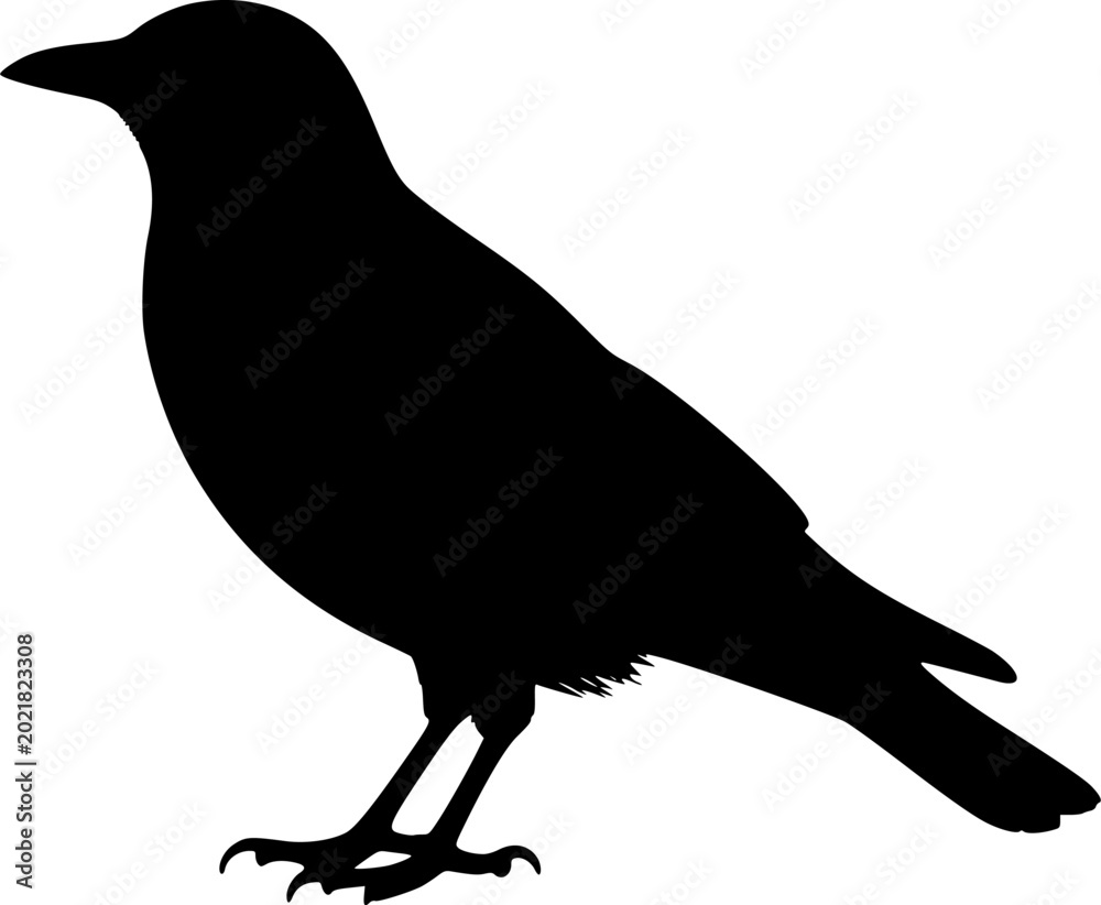 Fototapeta premium Modern Professional Silhouette Of A Bird Sitting On The Ground
