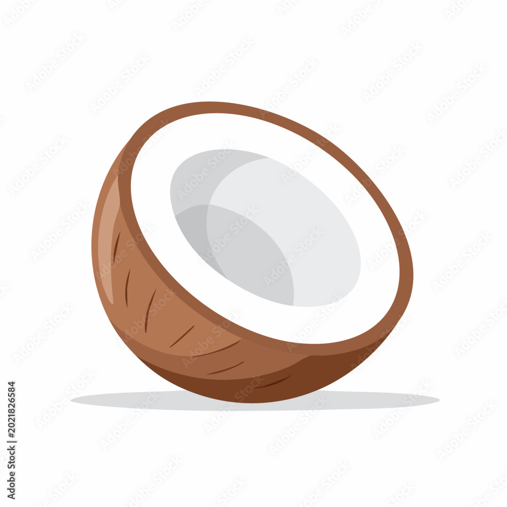 Fototapeta premium Half Coconut Illustration