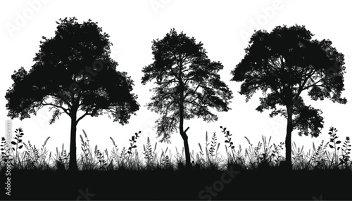 Trees arranged in a row illustrate a natural forest silhouette featuring three distinct deciduous specimens standing amidst tall wild grass on a clean white background for seasonal design projects.