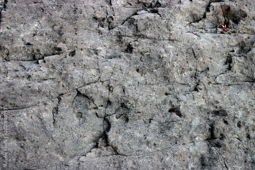Fototapeta premium Grey rock stone texture closeup, natural rock textured background