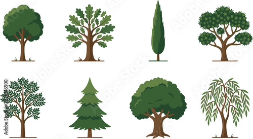 Schilderij op canvas Vector illustration collection of eight stylized trees with varied canopy shapes