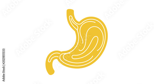 Foto Digestive System Organ - Stylized Human Stomach Icon Illustration