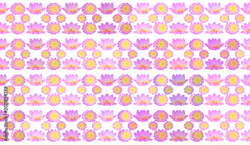 seamless pattern with flowers