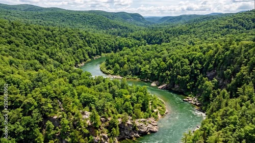 Aerial View of River in Green Forest Valley