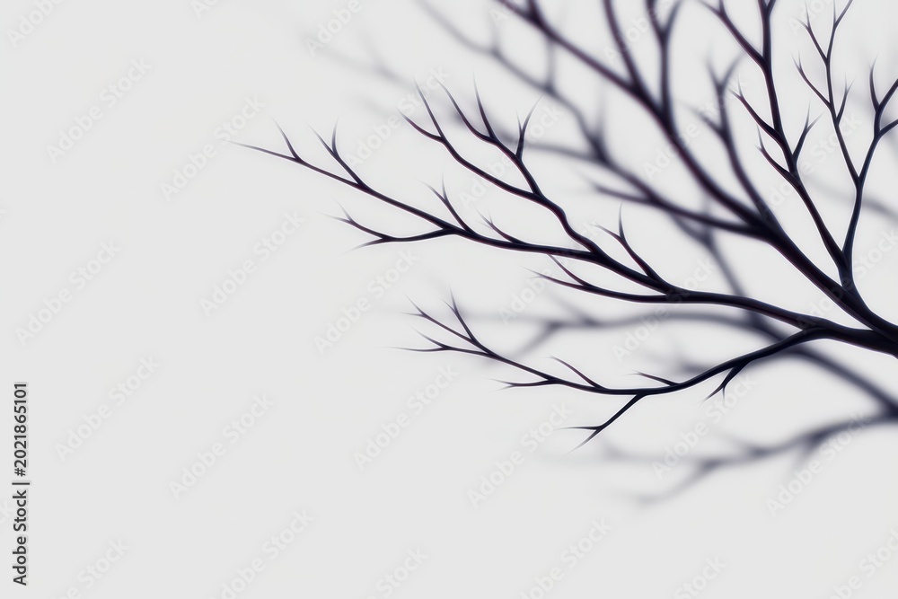 Fototapeta premium Elegant black branches silhouetted against a soft white background.