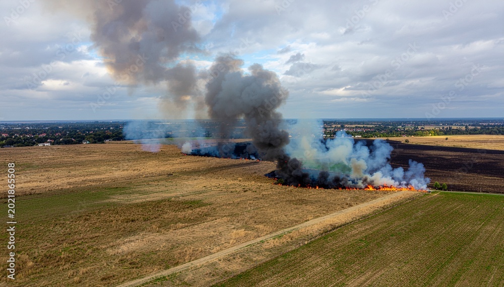 Fototapeta premium Agricultural field fire creating large plumes of smoke under a cloudy sky