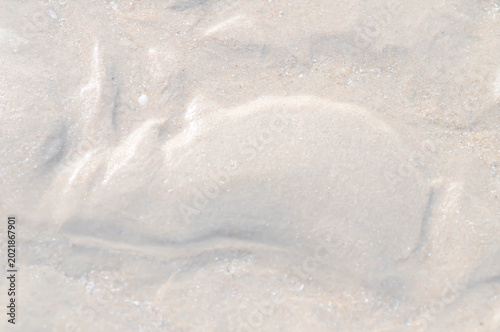 Foto beach ,sand and sea or beach background or sea background