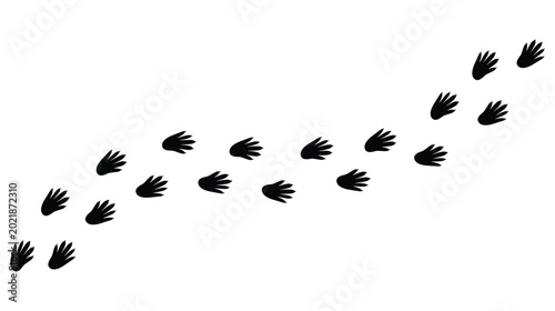 Photos Animal footprints on transparent background with rat and mouse paw prints