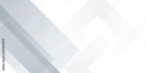 Minimalist white Grey Silver Box Rectangle Abstract Background Vector Presentation background Design