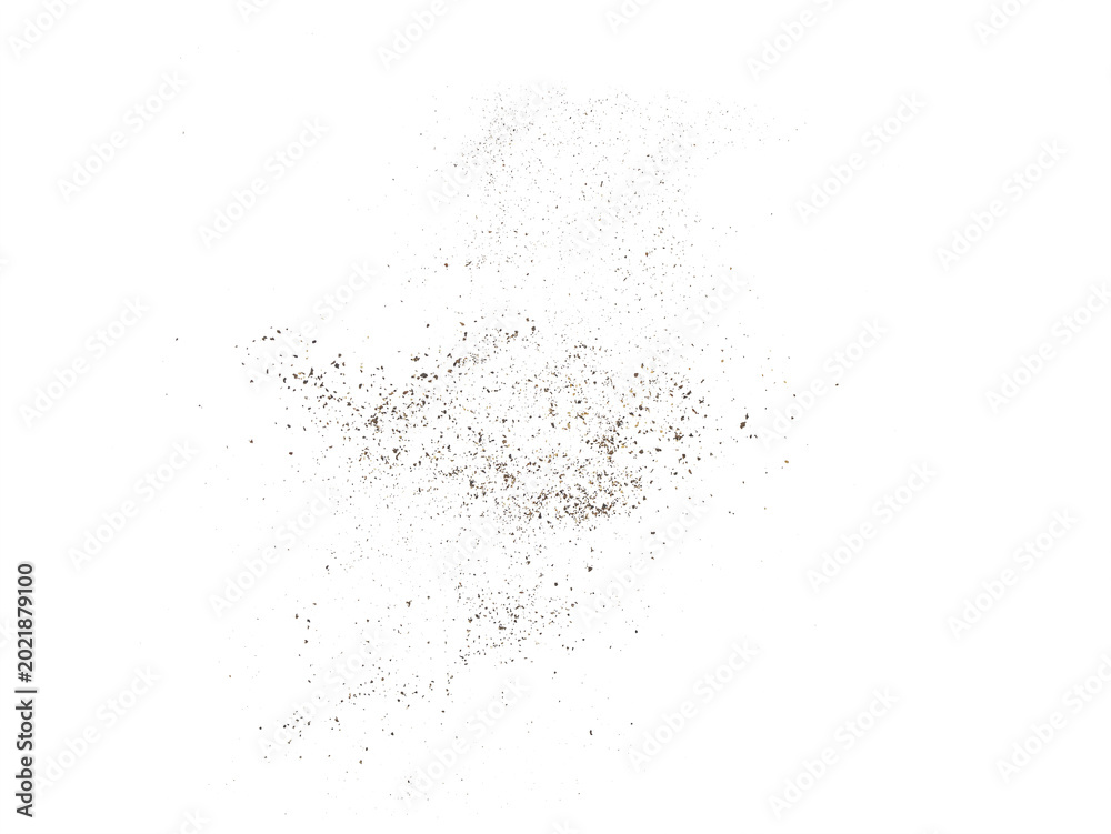 Obraz premium Minimal Transparent background with scattered brown and black specks like ground pepper or dust, abstract messy texture with copy space.