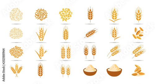 Variety of wheat grains and ears.